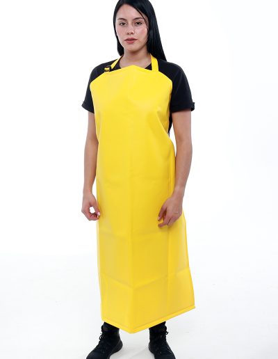 Waterproof apron for women